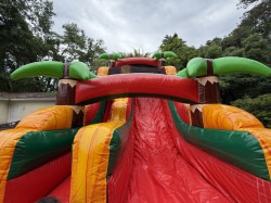 16 Ft Orange Surge